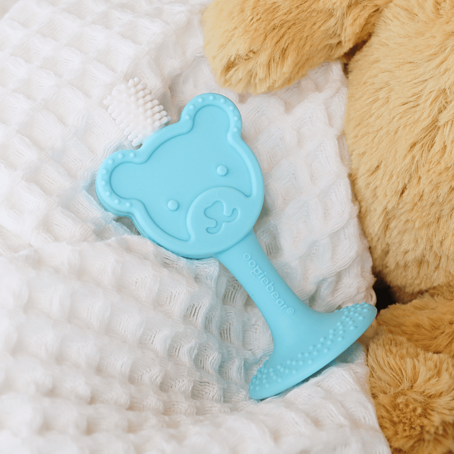 Infant to Toddler Training Toothbrush