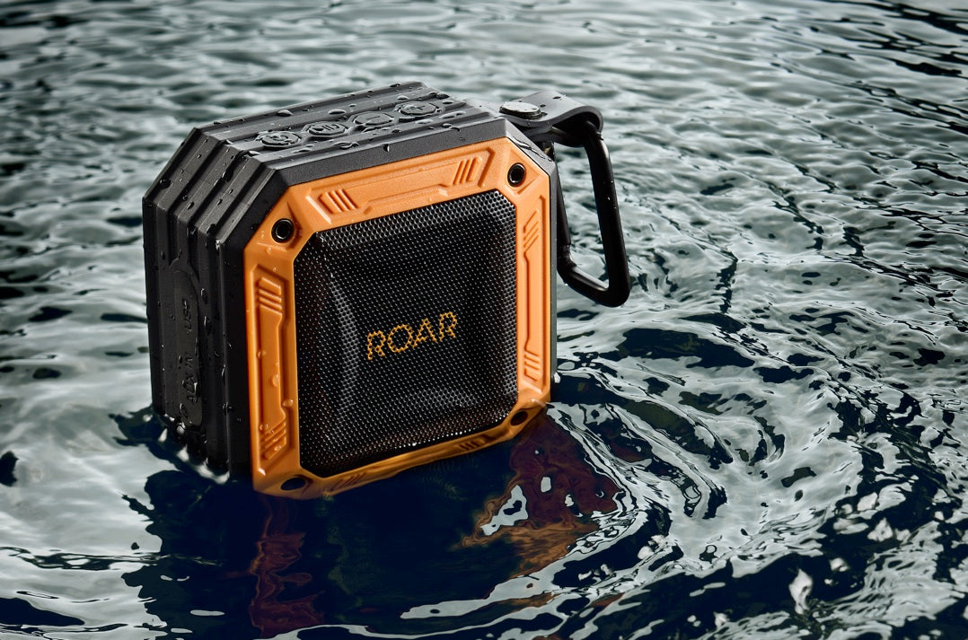 Roar Sound Machine + Speaker