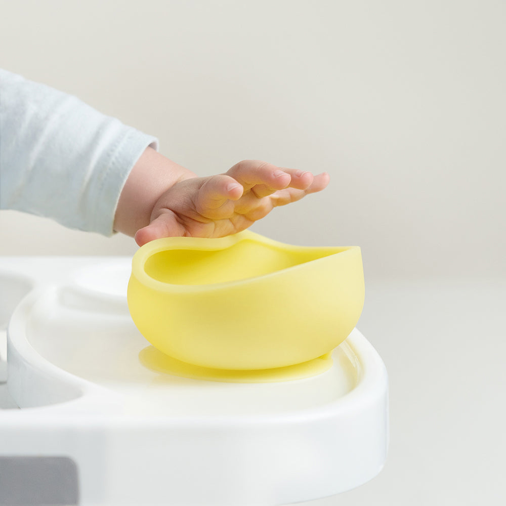 Silicone Suction Bowl with Lid