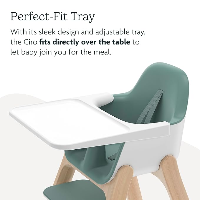 Ciro High Chair | Green/Rubberwood