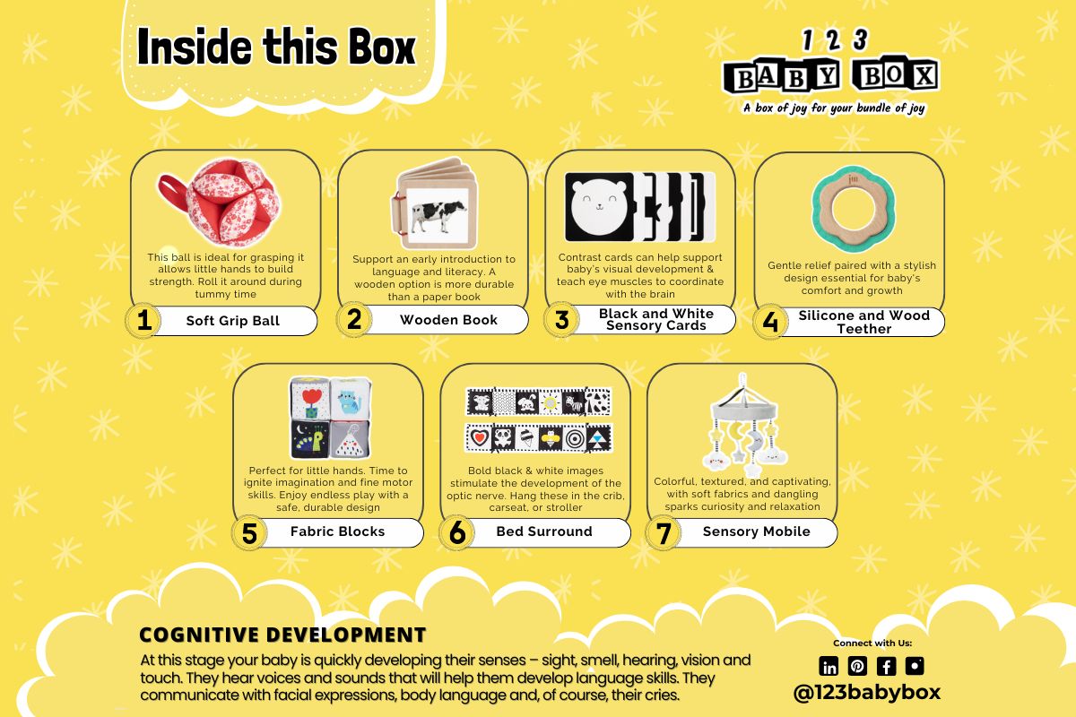 Montessori Educational Box (0-2 Months)