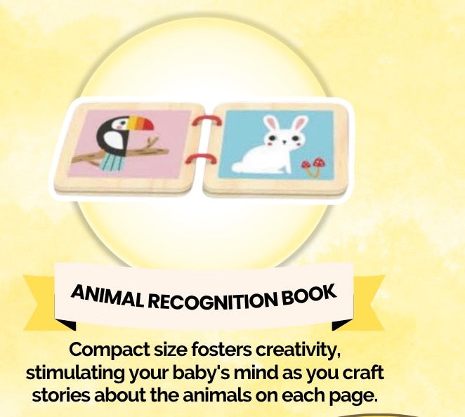 Montessori Educational Box (5-6 Months)