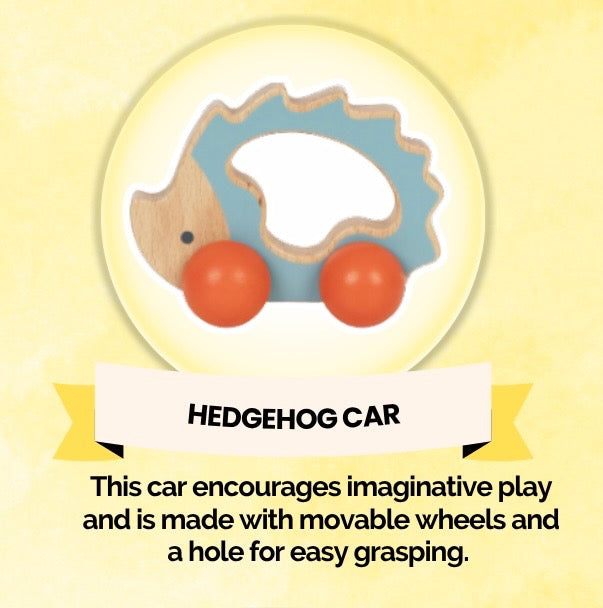 Montessori Educational Box (5-6 Months)