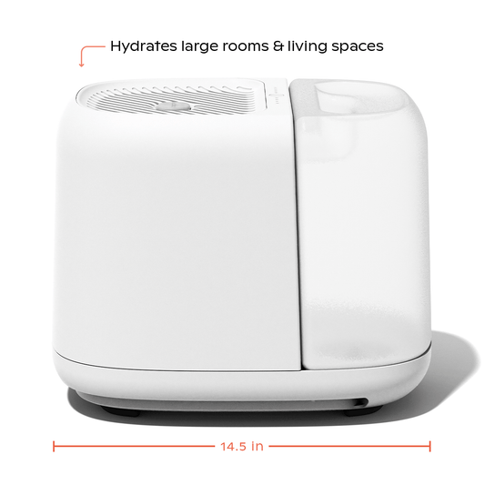 Canopy Humidifier Plus