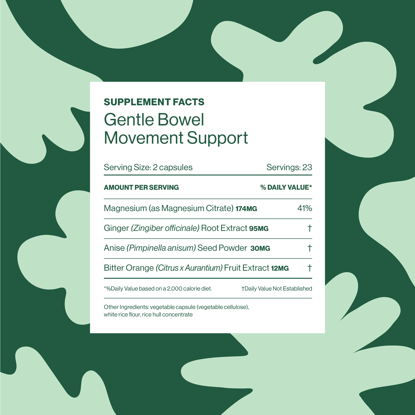 Daily Movement Duo