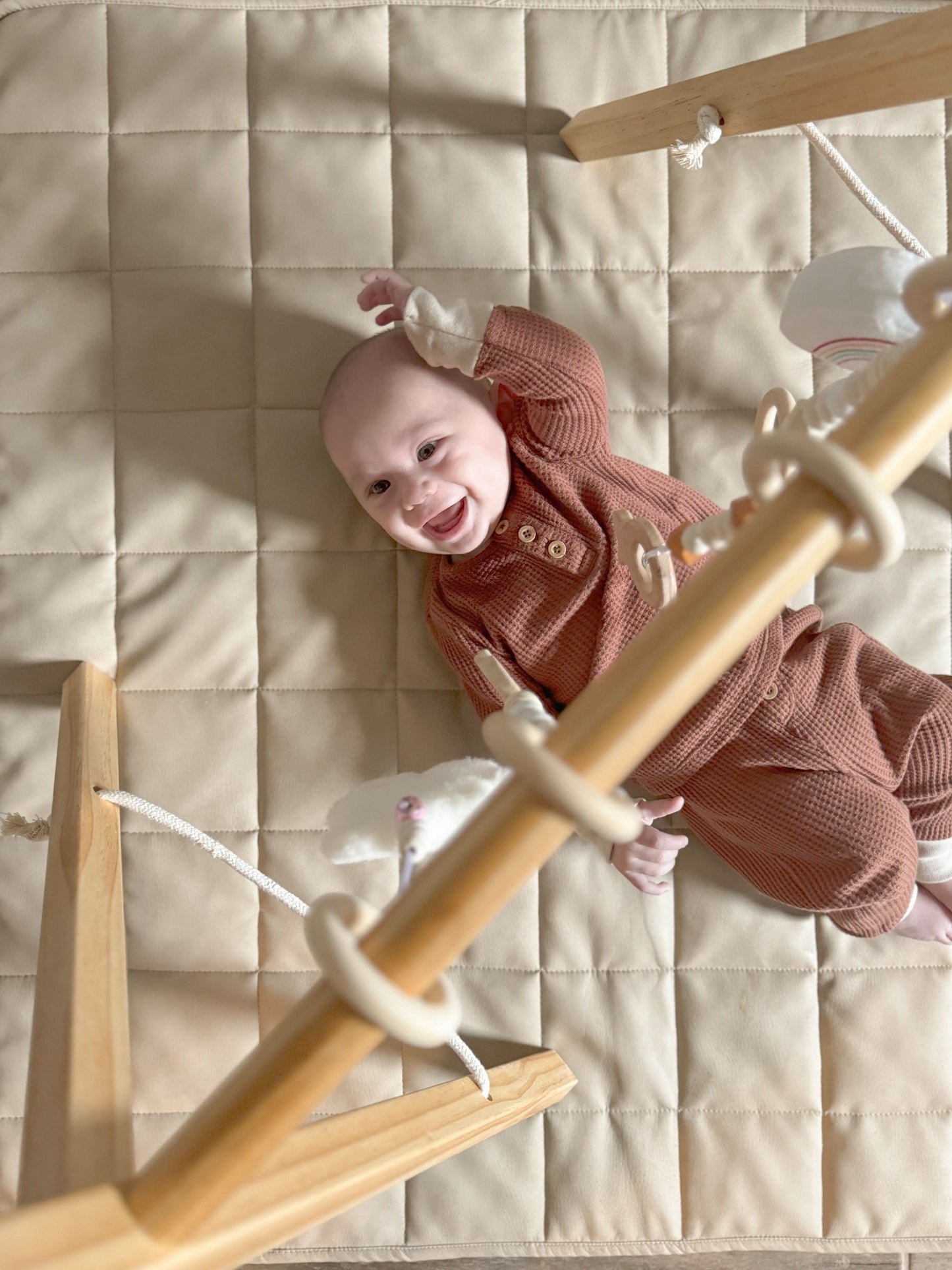 Lilac Wooden Baby Gym