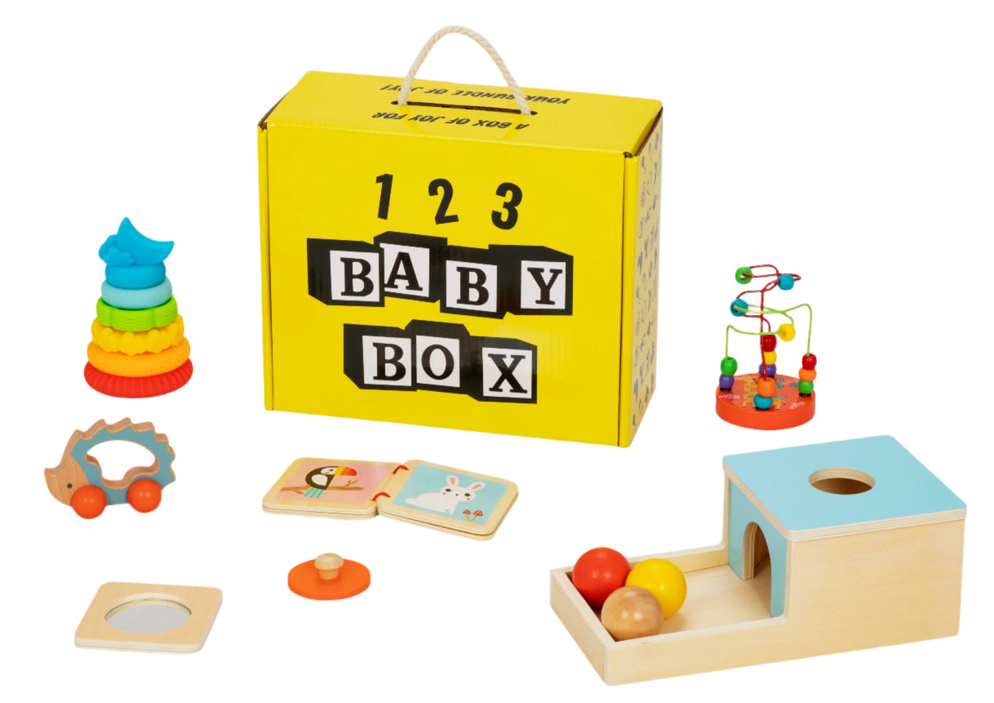 Montessori Educational Box (5-6 Months)