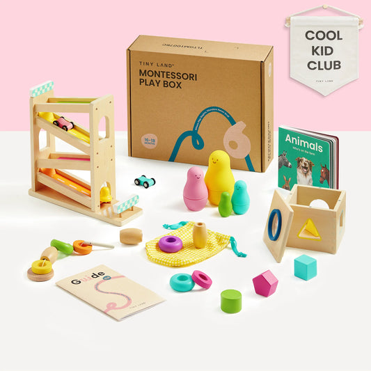 Tiny Land® Montessori Toys for Toddlers (16–18 Months)
