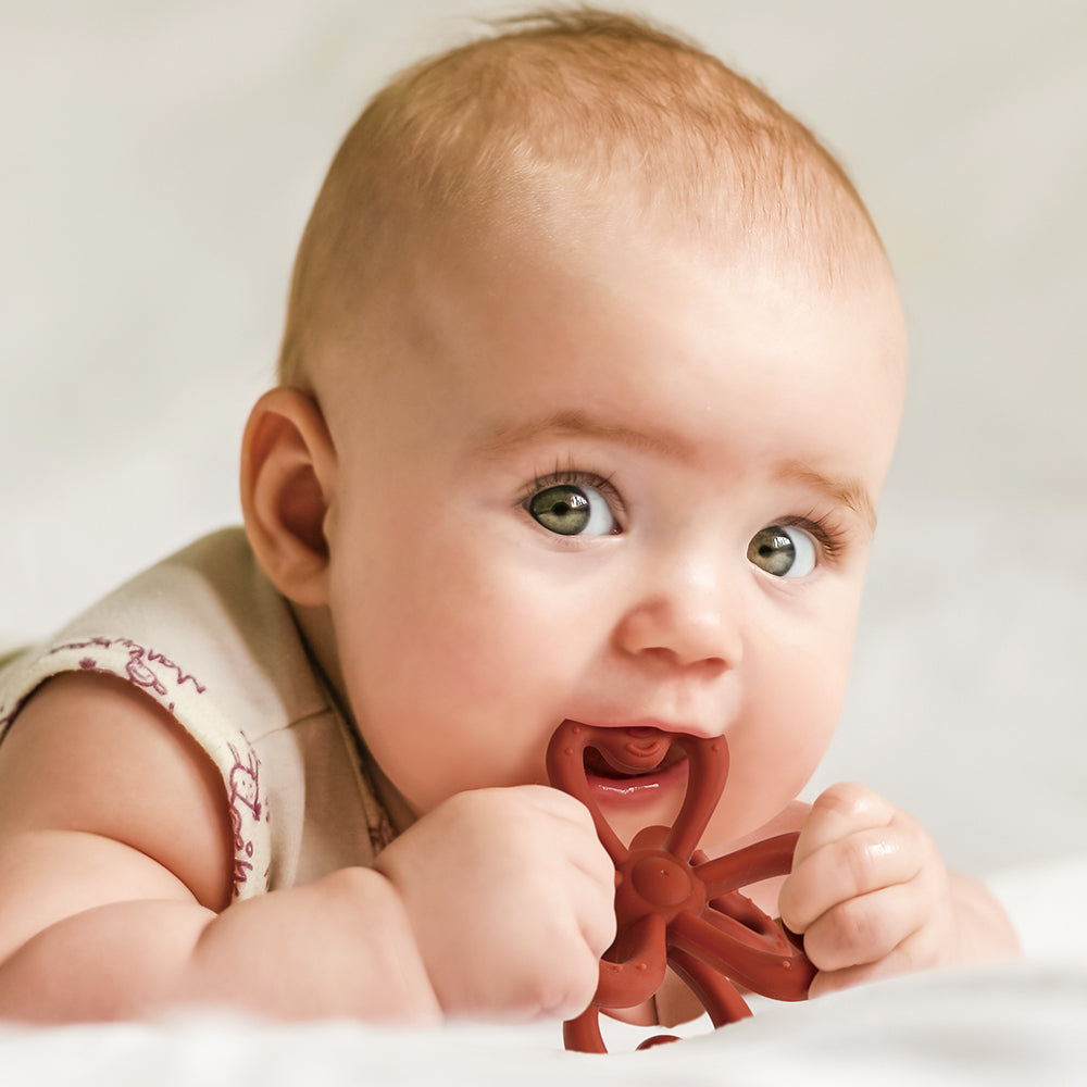 Haakaa Silicone Clover Teether