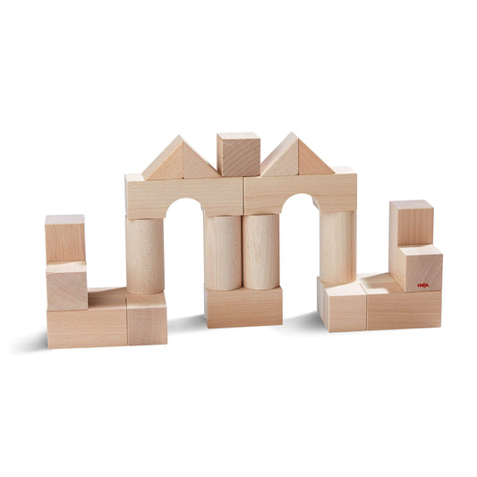 Basic Building Blocks 26 Piece Starter Set