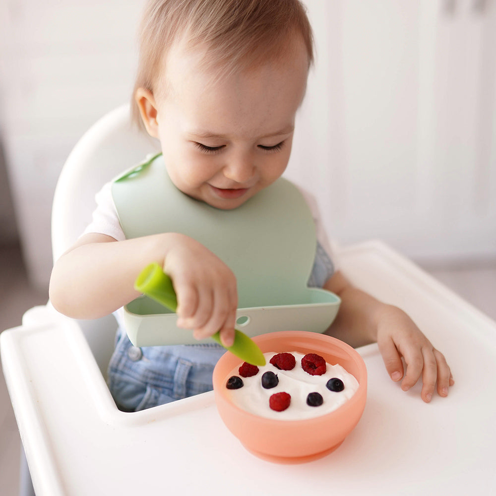 Silicone Suction Bowl with Lid