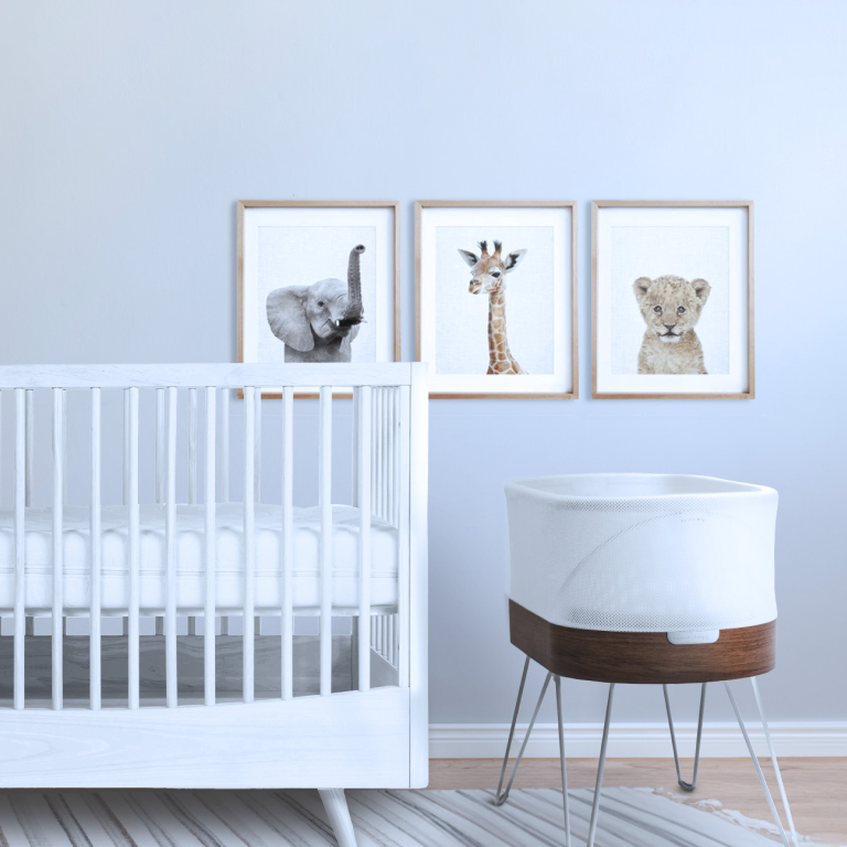 SNOO Smart Sleeper Bassinet